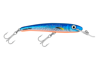 Blue Fluoro