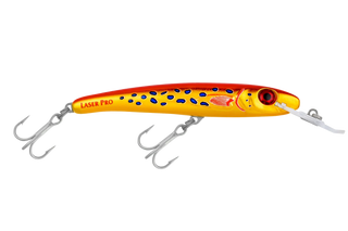 Coral Trout