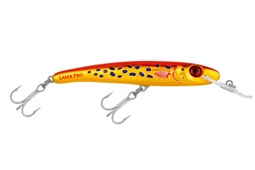 Coral Trout