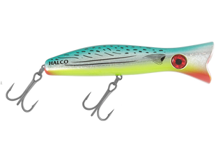 Bonito