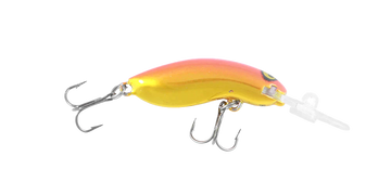 Chrome Gold Orange Back
