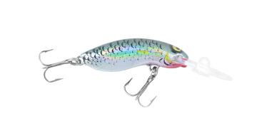 Mullet
