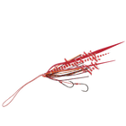 #1 Red Shrimp