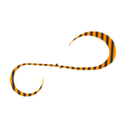 #6 Bright Orange Zebra