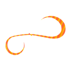 #8 Triple Orange Zebra
