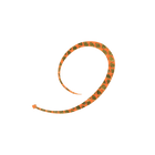 #5 Gold Flash Orange