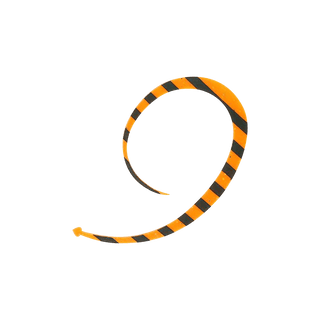 #6 Bright Orange Zebra