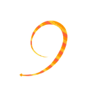 #8 Triple Orange Zebra
