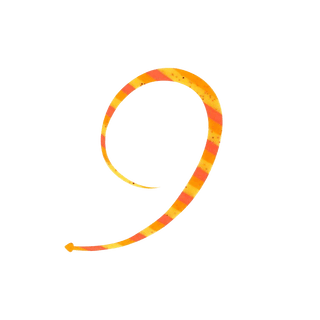 #8 Triple Orange Zebra
