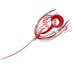 Hayabusa - Free Slide Hookset Spiral Curly Short
