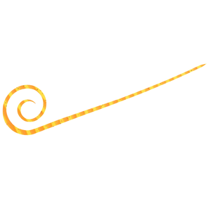 #10 Shrimp Orange Zebra